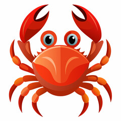 crab isolated on white background