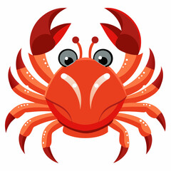crab isolated on white background