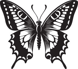 butterfly isolated on white