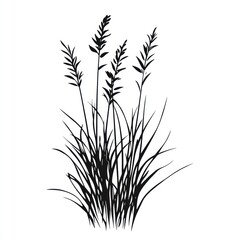 Fototapeta premium Black Silhouette of Tall Grass Blades