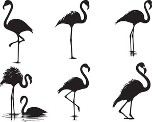 Obraz premium Flamingos silhouette vector EPS SET
