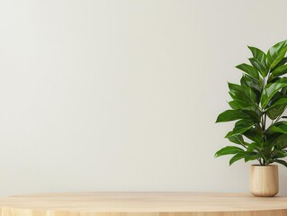 Fototapeta premium Boutique bank with light oak furniture and greenery, offering a welcoming and ecoconscious environment, wooden furniture concept