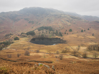 Autumn view over Blea Tarn on the descent from Lingmoor Fell, Great Langdale, Lake District, UK