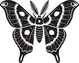 Obraz premium black and white butterfly