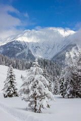 Winterwunderland im Pongau