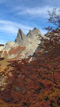 Autumn view with Lenga Beech (Nothofagus pumilio) in Andes mountains. Nahuel Huapi National Park near San Carlos de Bariloche, Patagonia, Rio Negro Province, Argentina