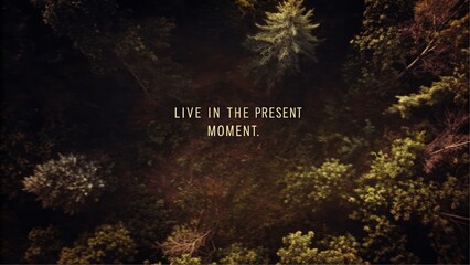 Embrace the now mindfulness practices in nature outdoor retreats content guide tranquil forests personal growth live in the present