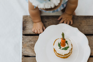 Gourmet Baby First Birthday Carrot Cake Close Up with Fresh Carrot Topper, White Frosting on Scalloped Plate, Rustic Wood Background, Baby Hands Detail Photography