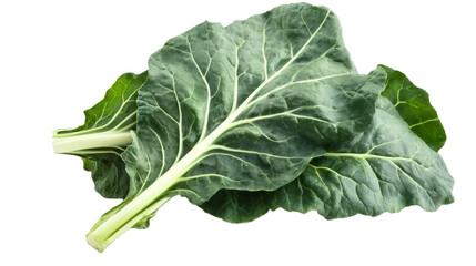 Fresh green bok choy leaves resting on transparent background