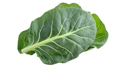 Obraz premium Bok choy leaves showing green veins on transparent background