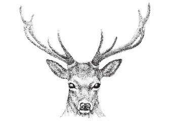 Stylized deer head drawn with black dots and spots. Illustration using pointillism technique
