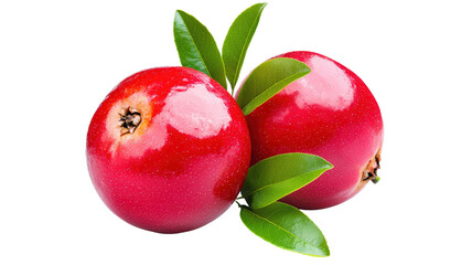 Two vibrant red cranberries paired with glossy green leaves create a fresh and appealing arrangement.