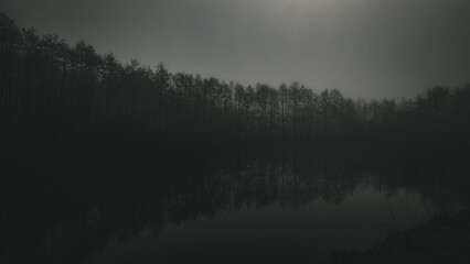Fototapeta premium eerie mist-covered forest lake in winter