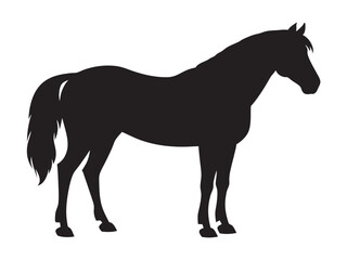 running horse silhouette. Western riding horse vector illustration, isolated on white background 