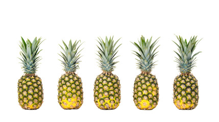 Fototapeta premium Five pineapples standing in a row on transparent background