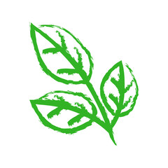 Green leaf drawing in hand drawn style. Leaf in doodle style. Stylized leaf isolated from background. Vector illustration