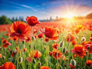 Naklejka premium Vibrant Red Poppy Field in Summer Bloom - Stunning Wildflower Landscape Photography