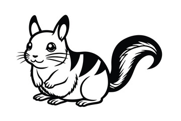 black and white rabbit