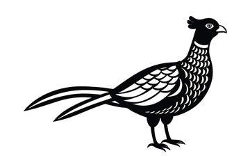  cute-pheasant-cartoon