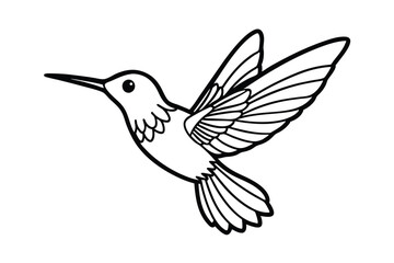  cute-hummingbird