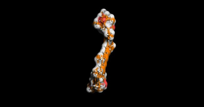 Fucoxanthin, Carotenoid, nutraceutical, 3D molecule spinning 4K