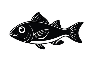 fish isolated on white