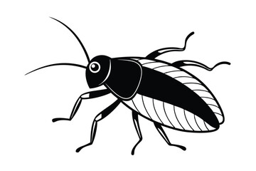 illustration of a black beetle