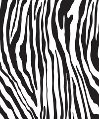 Zebra skin background vector. Animal fur, vector background for Fabric design, wrapping paper, textile, and wallpaper