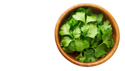 coriander or cilantro leaves isolated on transparent background. bunch of coriander or cilantro leaves in wooden bowl. top view coriander or cilantro leaves isolated