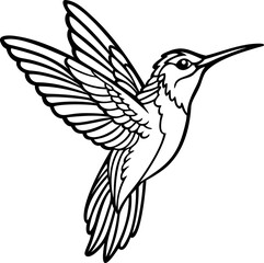 Hummingbird - Black And White Vector Illustration Isolated On Background