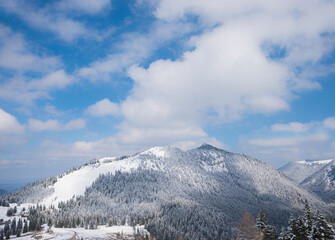 wintry mountain peak Brecherspitze, with frozen forest. beautiful clouds at blue sky