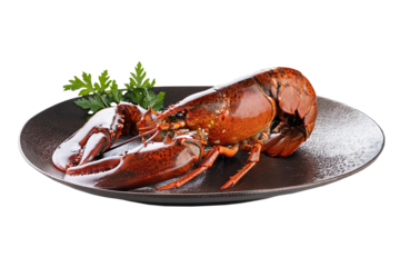 fresh whole red lobster on a plate, isolated on transparent background, popular seafood food item boiled or steamed with butter