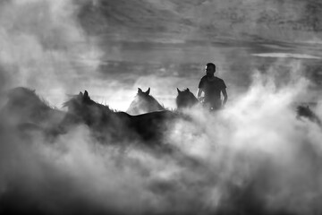 Cowboy and His Horses_6