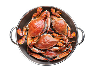 Close-up and top angle view of raw crabs, isolated on transparent background