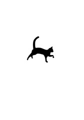 GATO IMAGEN VECTOR BLACK CAT 