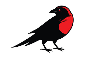 Obraz premium Red Crossbill J.eps