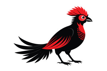 Red-Crested Turaco C.eps