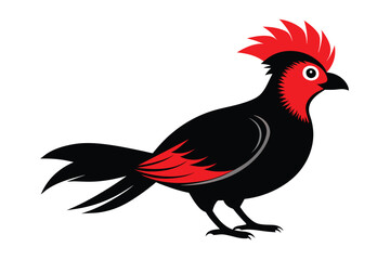 Obraz premium Red-Crested Turaco F.eps