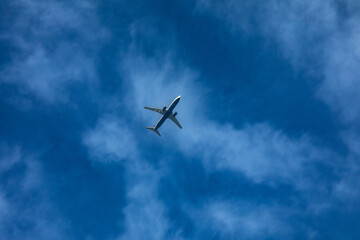 An Airplane is Flying Gracefully through a Beautiful Blue Sky Filled with Fluffy Clouds