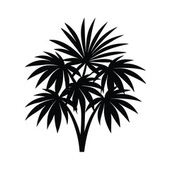 Obraz premium palm tree silhouette isolated