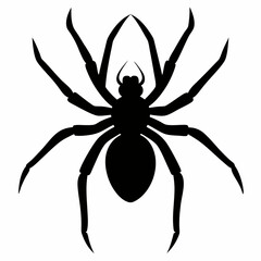 Spider vector silhouette black design white background