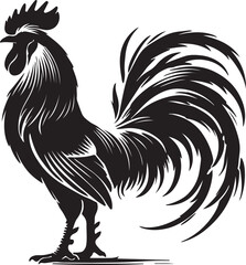rooster isolated on white