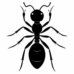 Ant vector silhouette black design white background