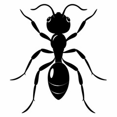 Ant vector silhouette black design white background