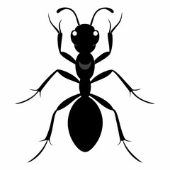 Ant vector silhouette black design white background