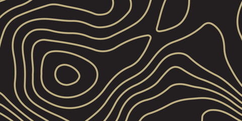 Topographic map patterns, topography line map. Vintage outdoors style. Abstract topographic contours map background. Abstract Topographic Pattern in Black and White.