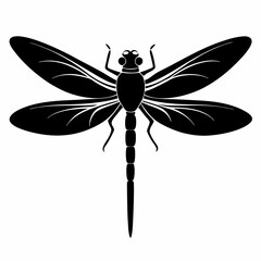 Dragonfly vector silhouette black design white background