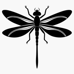 Dragonfly vector silhouette black design white background