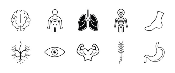 Editable Human Body Icons Set, Line Art Vector illustration