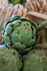 Fototapeta premium Fresh ripe green organic artichokes heads on local farmers market in Dordogne, France